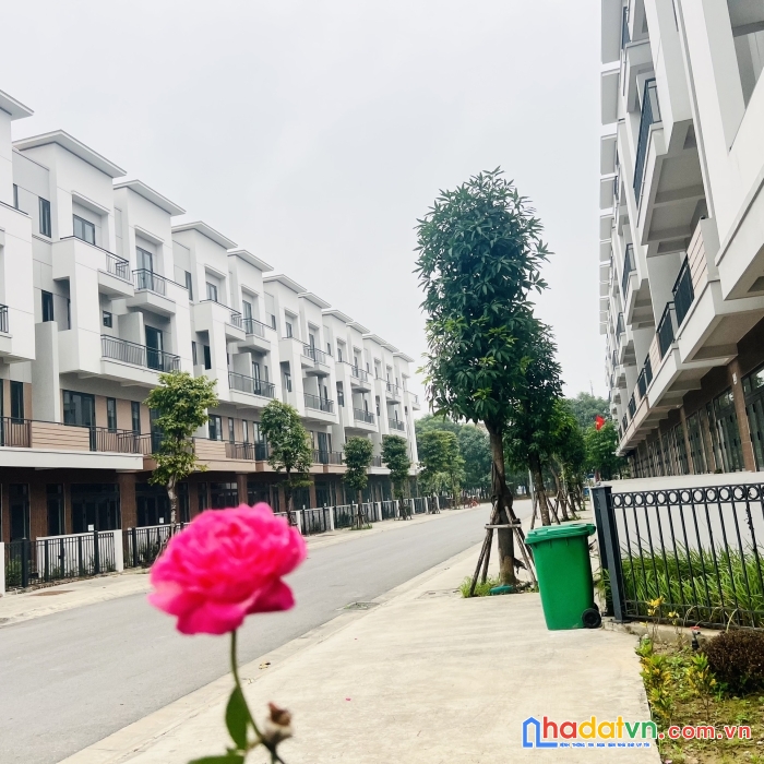 Tôi cần bán căn chân đế chung cư tại centa diamond trung tâm từ sơn giá cần tiền