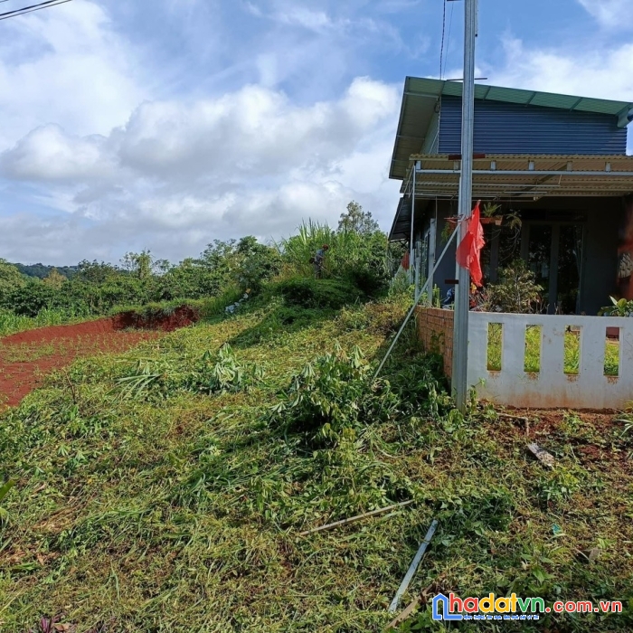 Đất nền nghĩa phú