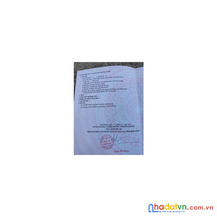 Cần bán gấp 1 mẫu 2 cao su vị trí đẹp tại bình phước