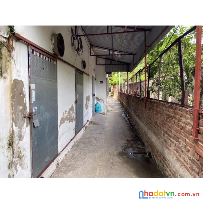 Bán đất ở, hiện đang có dãy phòng trọ 5p cho thuê đường nguyễn thuật, thị trấn hà lam, thăng bình,