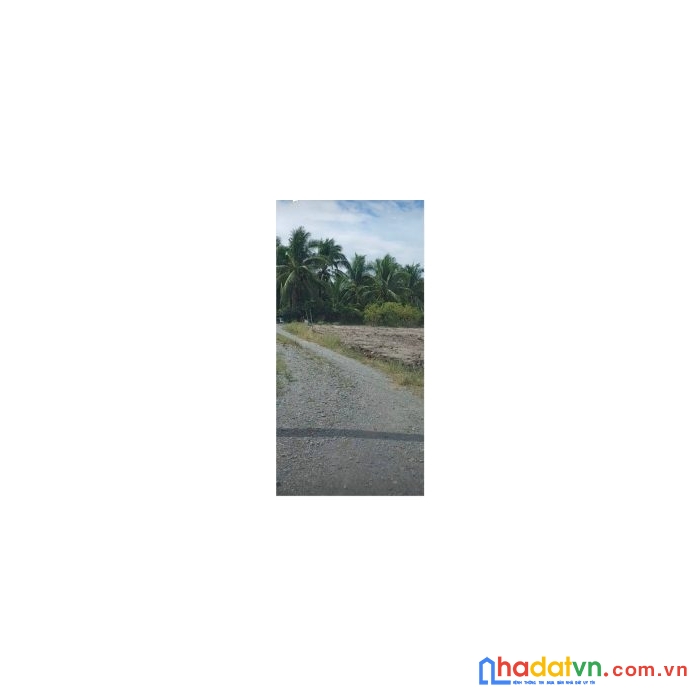 Chính chủ cần bán đất lúa tại long an