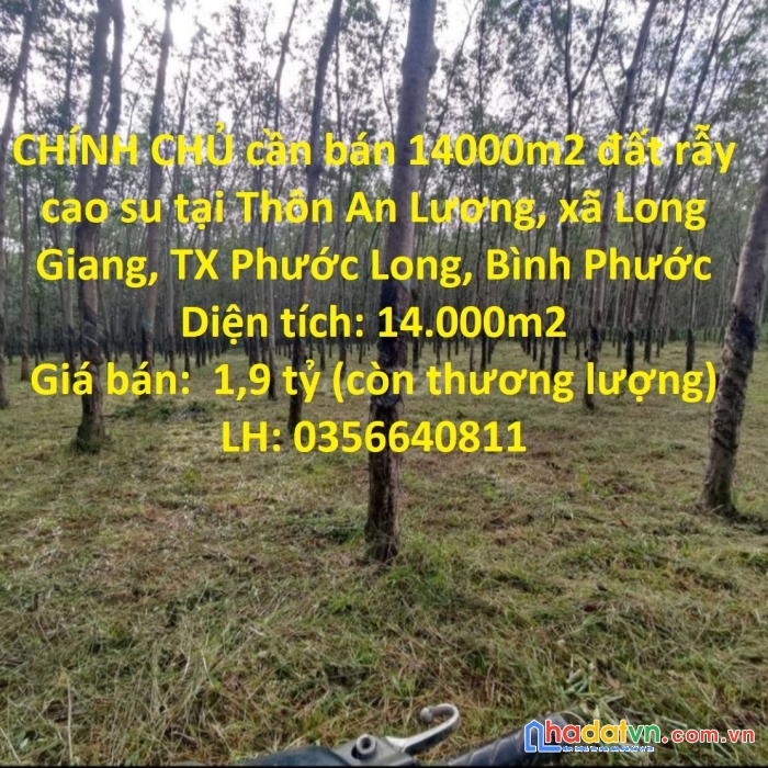 Chính chủ cần bán 14000m2 đất rẫy cao su tại phước long, bình phước