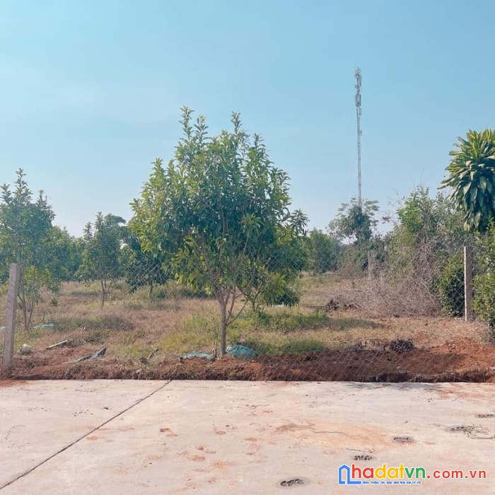 ( gấp trong tuần này ) chỉ 3.5 tỷ sở hữu lô đất nghỉ dưỡng ven đà lạt 600m2