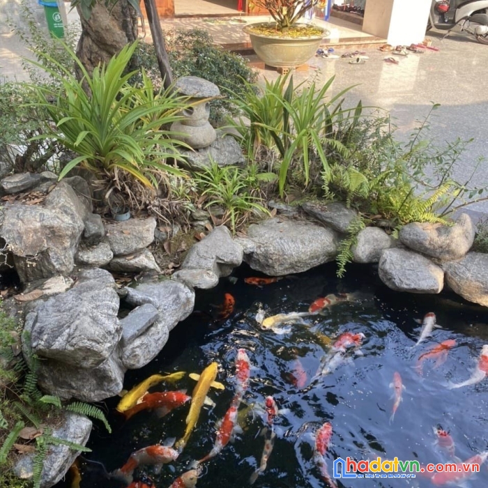 Giảm sâu, bán biệt thự mặt tiền khu tân thới hiệp - đã lên hết thổ cư - sân vườn - hướng đông tứ