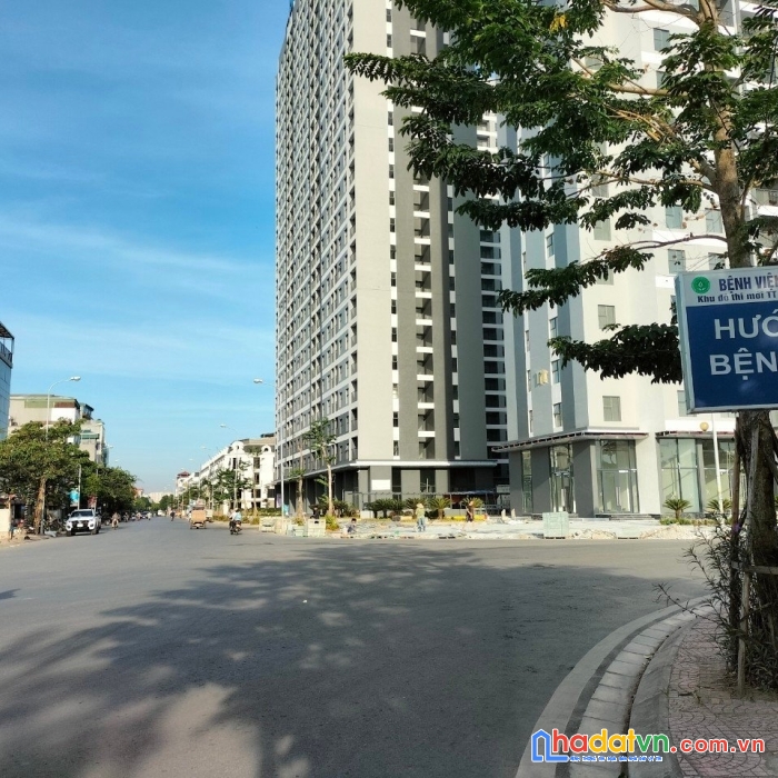 Bán gấp căn hộ 65m2 2n, 1wc tòa blue star trâu quỳ, gia lâm, hà nội. lh 0398381708.