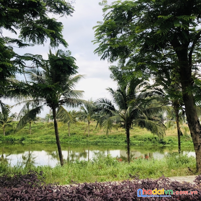 Bán lô đất biệt thự view kênh fpt city đà nẵng