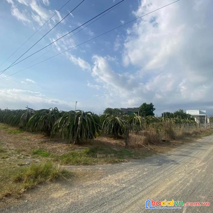 Sở hữu ngay lô đất vị trí đắc địa tại hàm mỹ, hàm thuận nam, bình thuận