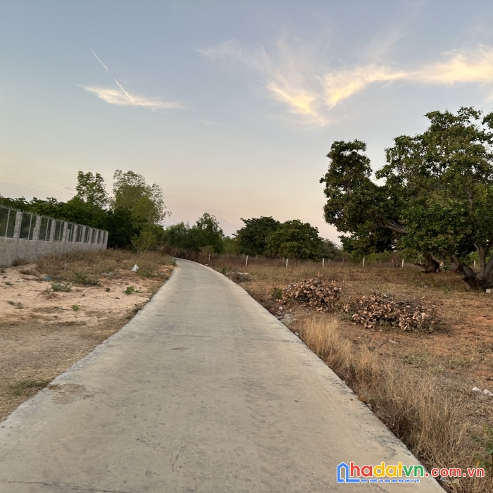 Cần bán nhanh 1000m2 đất thiện nghiệp phía sau trường thủ khoa huân