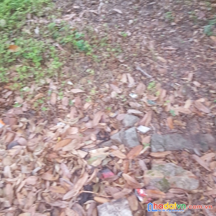 Lô góc 2 mặt tiền chỉ hơn 1 tỷ, trung tâm bắc ninh 65m²
