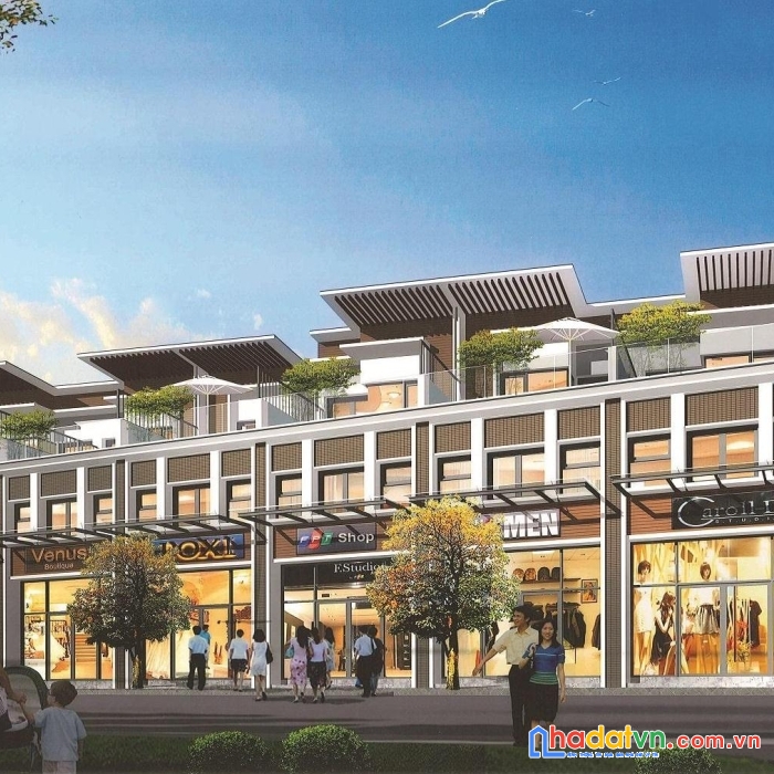 Biệt thự the mizuki