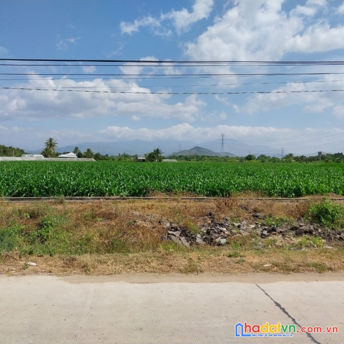 Chính chủ cần bán lô đất 2 mặt tiền vị trí đẹp tại ninh thuận