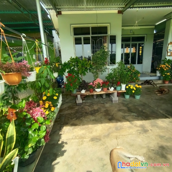 Sở hữu ngay lô đất vị trí đắc địa tại diên xuân, diên khánh, khánh hòa