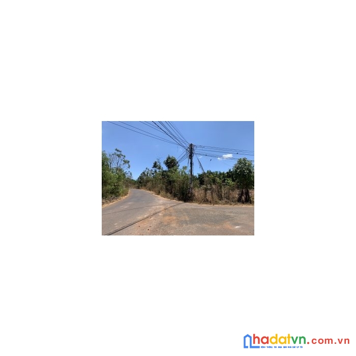 Chính chủ cần bán đất ( có 3 sổ hồng )