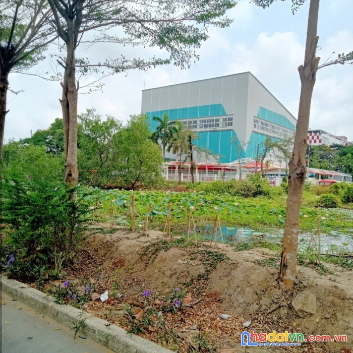 Bán lô đất 6x20m 8 tỷ đường vành đai (đs1) kdc conic 13b- xã phong phú- bình chánh