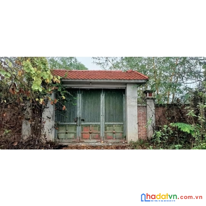 Cần bán lô đất 1000m2 tại trung tâm ngọc thanh, phúc yên, vĩnh phúc