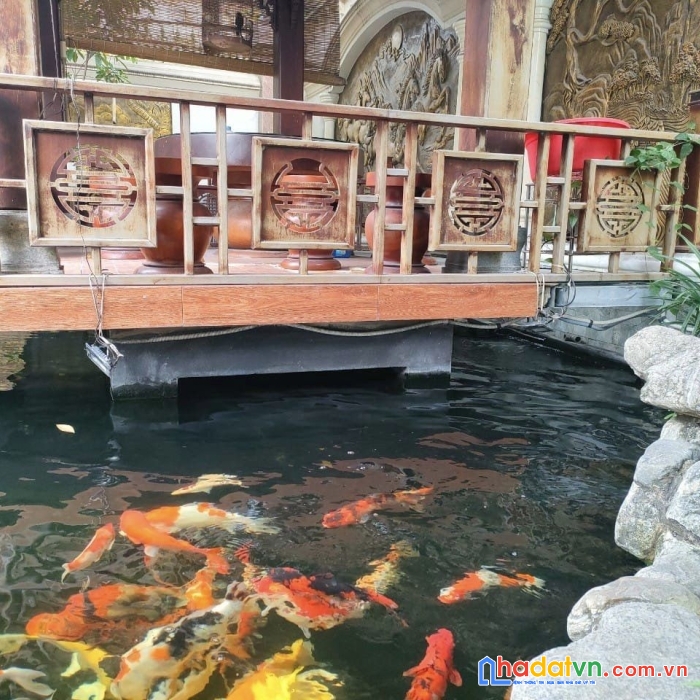 Giảm sâu, biệt thự mặt tiền khu tân thới hiệp -  sân vườn - gần dương thị mười