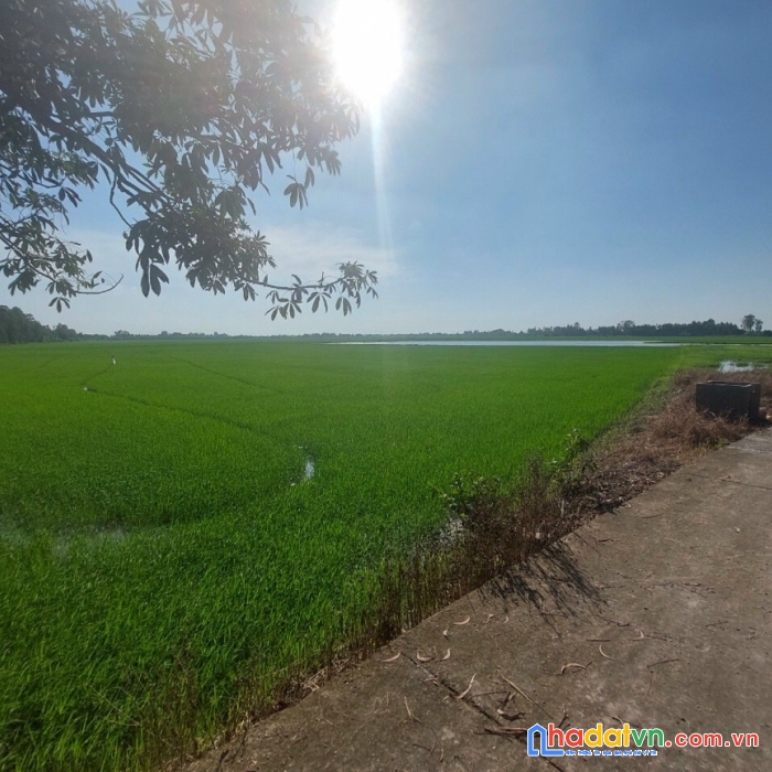 Chính chủ cần bán nhanh lô đất vị trí đẹp tại rạch giá – kiên giang