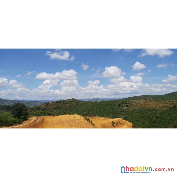 ( gấp lắm rồi ) kẹt tiền không ra công chứng kịp cần nhượng lại lô đất view đẹp lung linh