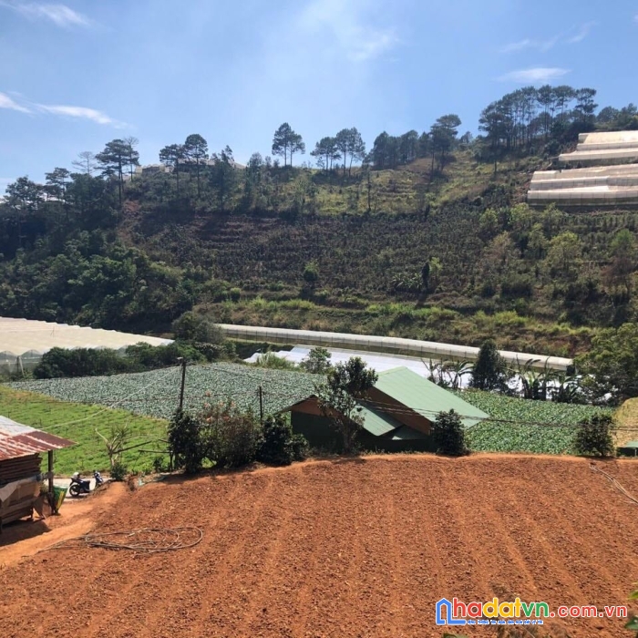 Kẹt vốn bán gấp lô đất view đẹp xuân thành, xuân thọ 1400m2 giá 2.7 tỷ