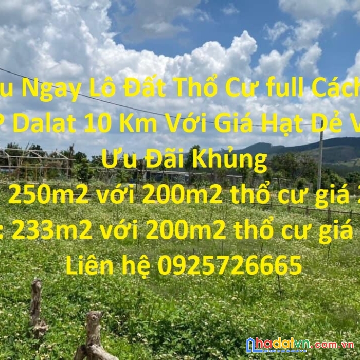 Sở hữu ngay lô đất thổ cư full cách trung tâm tp dalat 10 km với giá hạt dẻ và nhận ưu đãi khủng