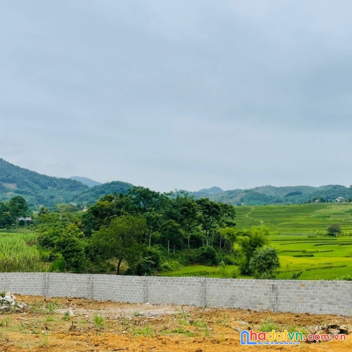 Chủ nhà vui tính1865m thực tế trên 2000m 1500m đất ở tại xuân phong - cao phong - hòa bình