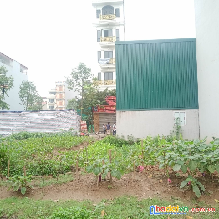 Bán đất đấu giá phú lương 2, hà đông, 50m2, mt5m, ô tô vòng quanh, giá 4.3 tỷ