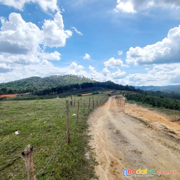 Cần bán gấp lô đất view đẹp giá rẻ tại đasar, lạc dương 4900m2 giá chỉ 2.8 tỷ