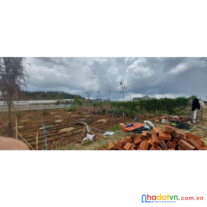 ( gấp gấp ) bán gấp đất biệt thự mặt tiền đường nguyễn hoàng, đà lạt 643m2 giá 11.5 tỷ