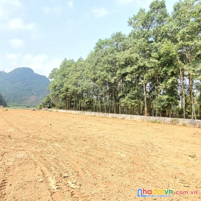 Chính chủ gửi bán siêu phẩm bám sông bôi dài 20m, 1800m có 1100m thổ cư