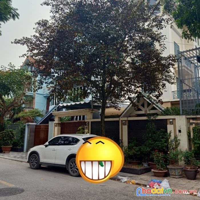 Cho thuê biệt thự mỹ đình-phạm hùng 176m2, 4t hoàn thiện đẹp giá 45 tr/t