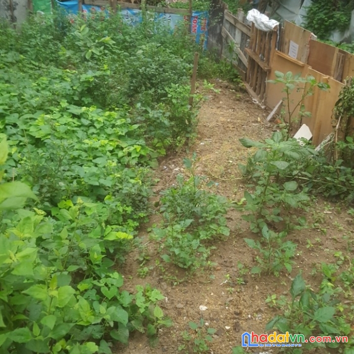 Đất võ cường hơn 1 tỷ đường ô tô, 54m²
