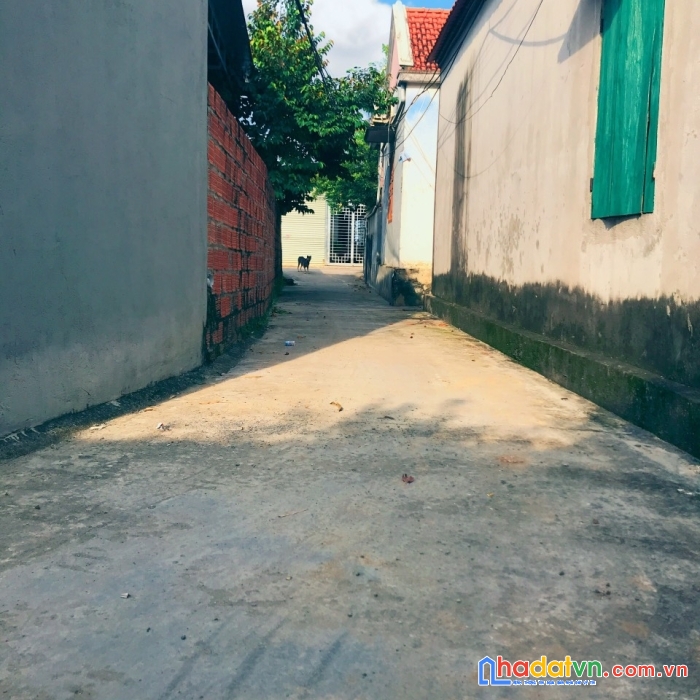 Nhanh tay sở hữu ngay lô đất chính chủ tại thuỷ nguyên hải phòng
