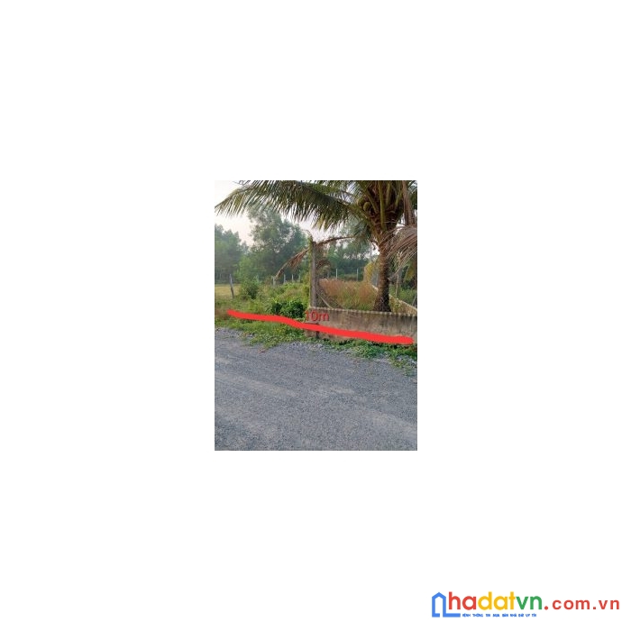 Chính chủ cần bán đất cách tỉnh lộ 19 mặt tiền đường nhựa.