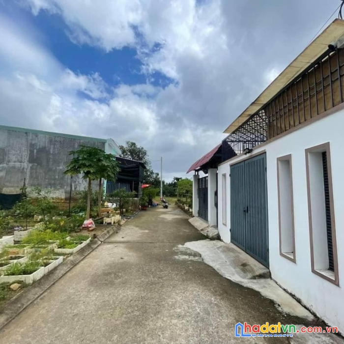 Bán đất diên toàn diên khánh