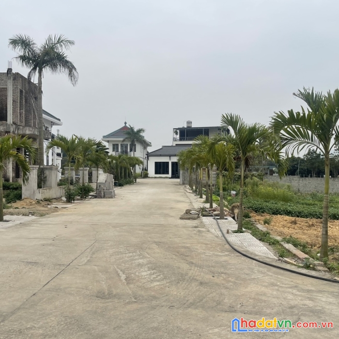 Cần bán em hoa hậu 2000m 300m thổ cư tại đồng sầm - nhuận trạch - lương sơn - hòa bình giá 5,x