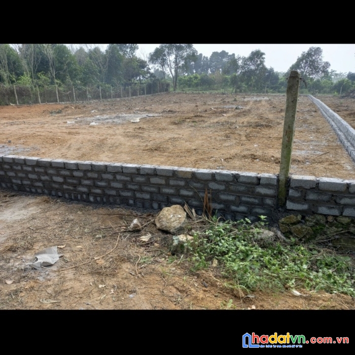 Chính chủ cần bán đất 1349m2 tân hoà, hoà sơn, lương sơn, hoà bình giá chỉ 4tr/m