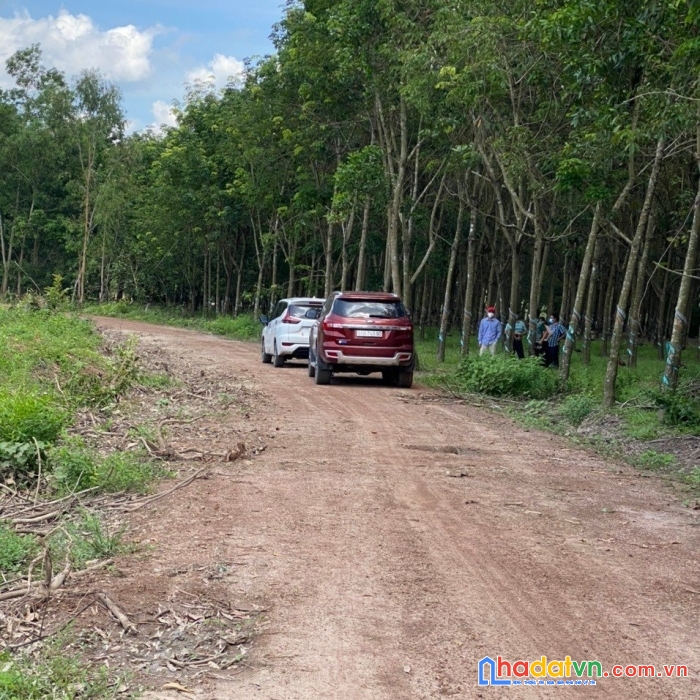 Đất chính chủ giá chỉ 350tr/250m2 có thổ cư tại xã thanh an, hớn quản, bình phước