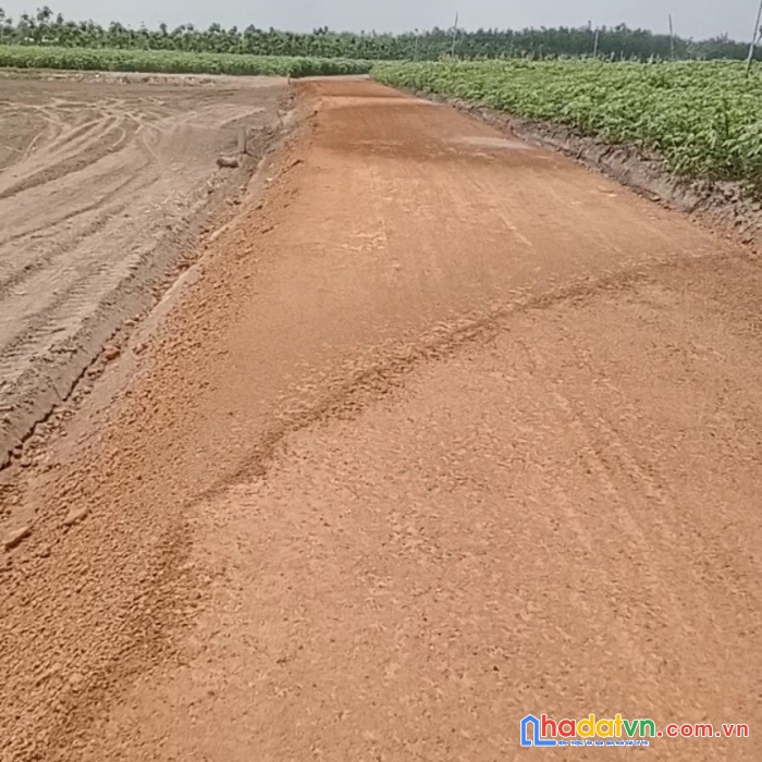 Sở hữu lô đất chính chủ vị trí đẹp tại tân phú, huyện tân châu - tỉnh tây ninh