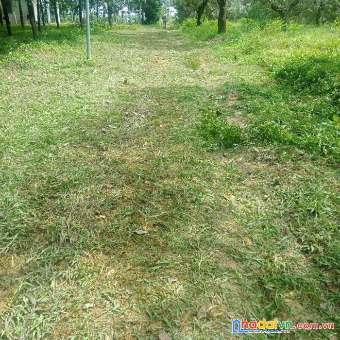Đất chính chủ - vị trí đẹp dành cho nhà đầu tư - suối cao, xuân lộc đồng nai