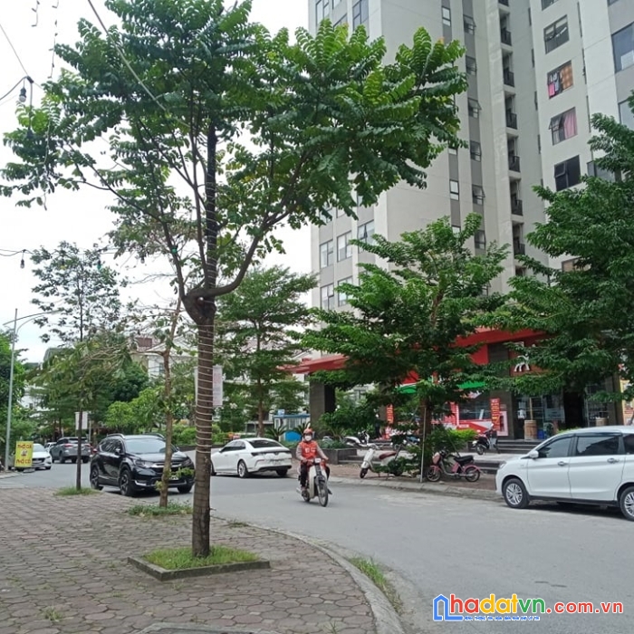 Bán nhà văn phú, hà đông, lô góc 121m2, mt24m, ô tô kinh doanh giá 14.5 tỷ