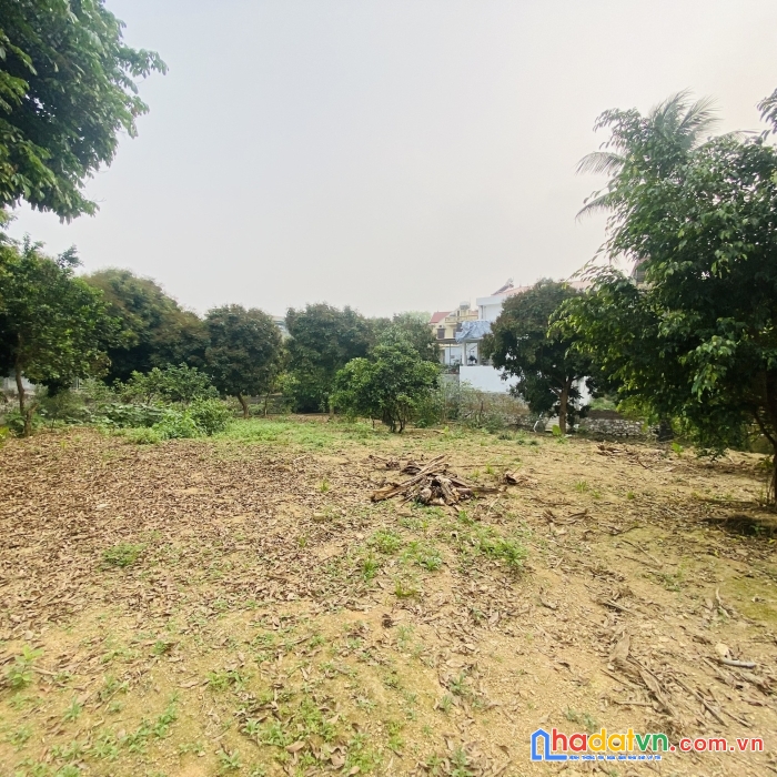 Cần bán lô đất có tổng diện tích 2748,6m2 trong đó có 200m2 thổ cư tại chiến thắng - xuân mai -