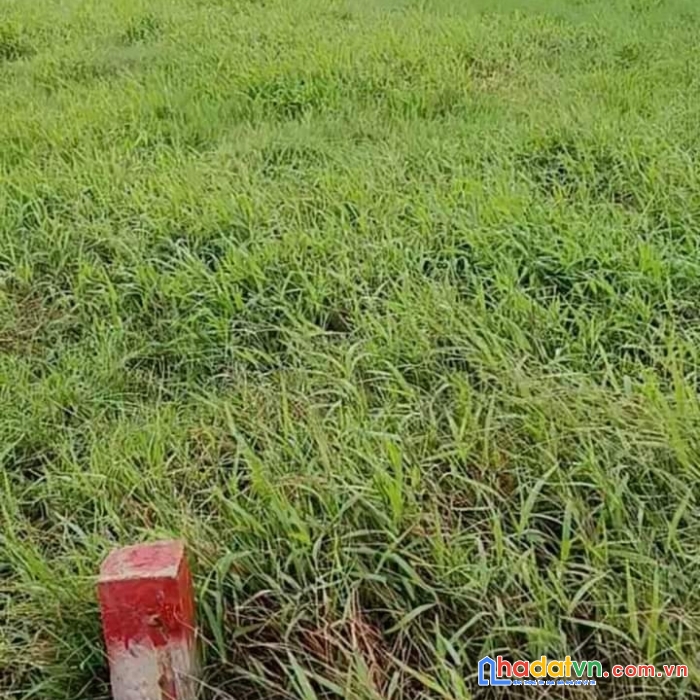 Sở hữu ngay lô đất đẹp tại p đông giang - tp đông hà - quảng trị