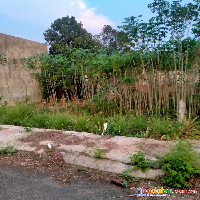 Chính chủ cần bán gấp lô đất đẹp vị trí tại tỉnh đông nai