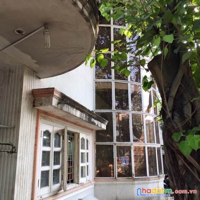 Bán nhà dương quảng hàm gò vấp biệt thự cũ 915m2 giá 77 tỷ