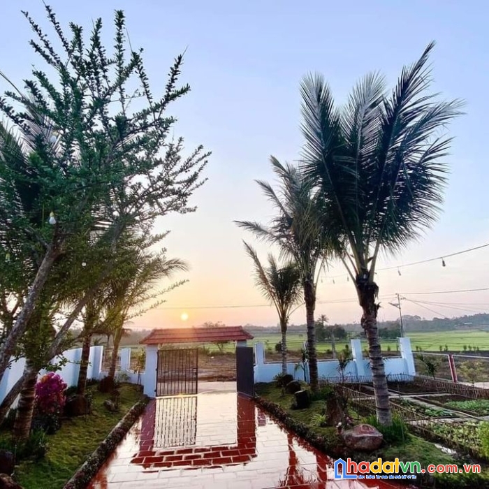 Biệt thự nhà vườn, ngay sau chợ ea kao- tp.buôn ma thuột, chỉ 4.3 tỉ