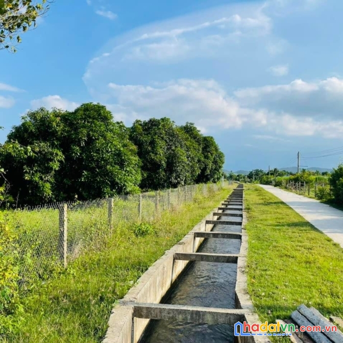 Bán lô đất thôn 4 ninh sơn, ninh hòa, khánh hòa