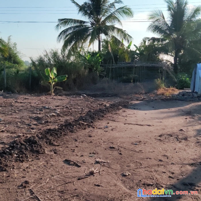 Bán nhanh đất vị trí đẹp tại xã thạnh lộc, châu thành, kiên giang