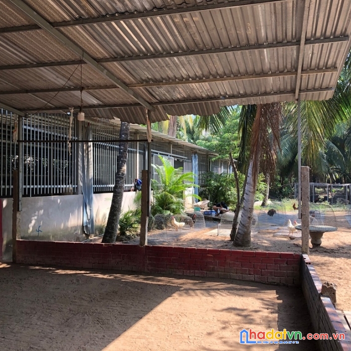Chính chủ cần bán nhanh lô đất có nhà sẵn tại khánh thạnh tân mỏ cày bắc - bến tre