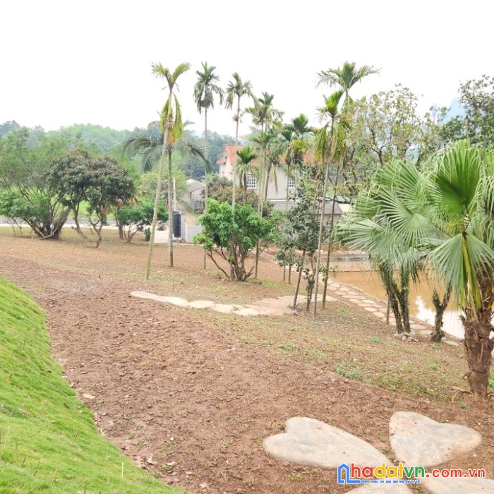 Hè hạ  nhiệt cùng khuôn viên nghỉ dưỡng 7000m² đẳng cấp view hồ