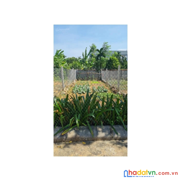 Chính chủ bán lô đất đồng trúc 100m giá 2.x tỷ - đường xe công tránh - 50m ra đại lộ thăng long
